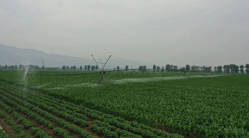 微信图片_20230901153655_2