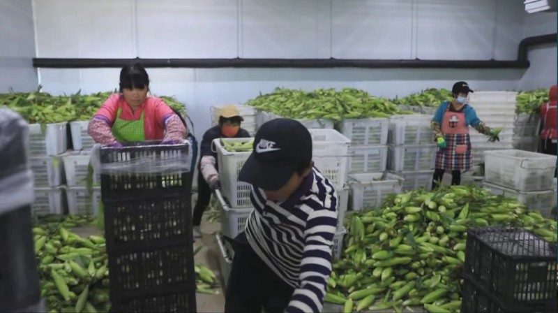 微信图片_20230901153656_1