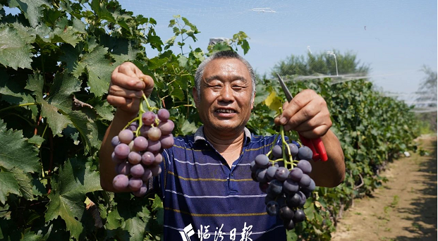 微信截图_20230903102208