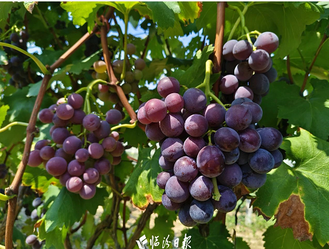 微信截图_20230903102149