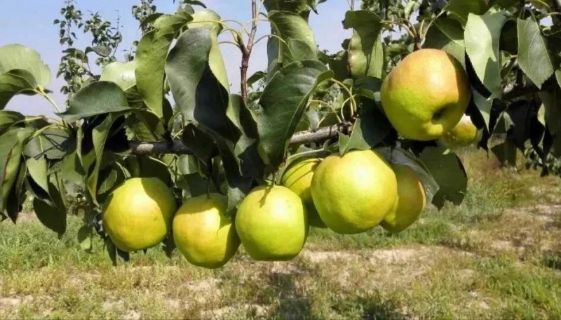 微信图片_20230904103434