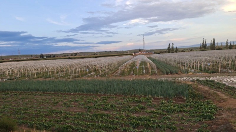 微信图片_20230904103435