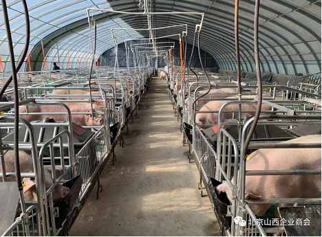 微信截图_20230906105201