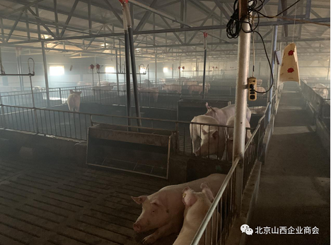 微信截图_20230906105210