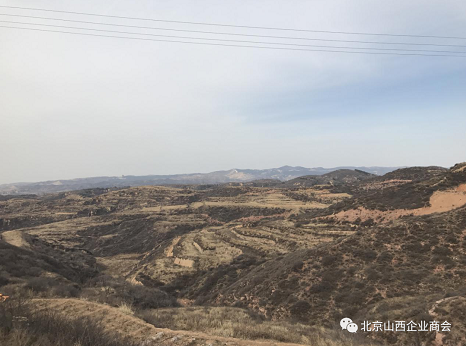 微信截图_20230906105218