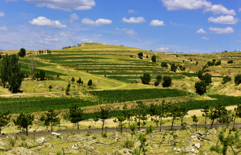 微信图片_20230914101528