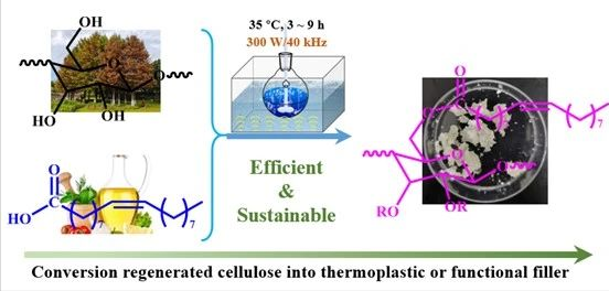 微信截图_20230919085317