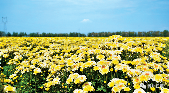 微信截图_20230922172247