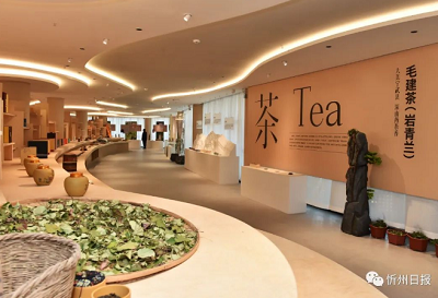 微信截图_20230922172539