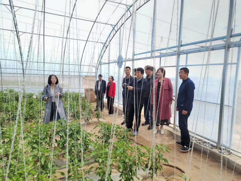 微信图片_20230928163118