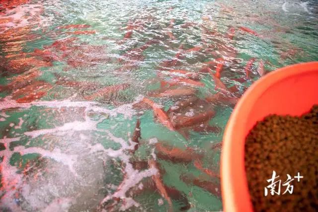 微信图片_20230928165706