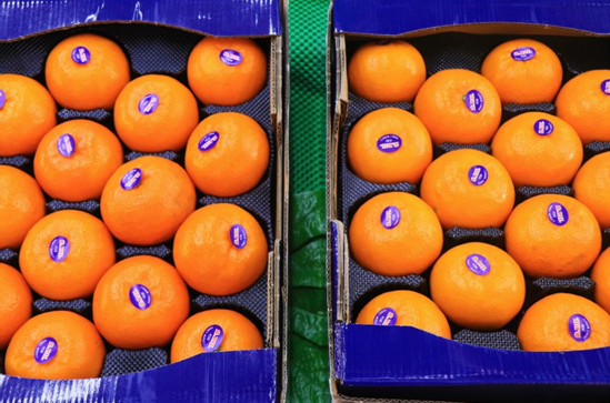 微信截图_20231009145739