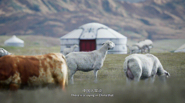 微信截图_20231011100022