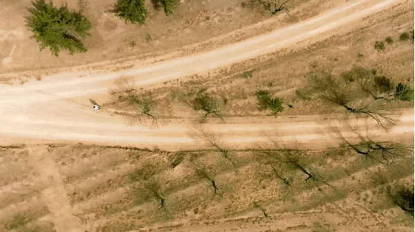 微信截图_20231011100044