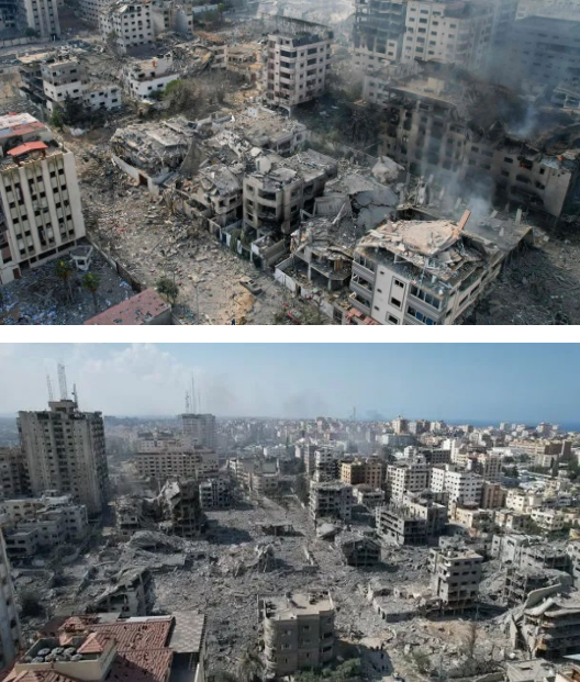 微信截图_20231017110937