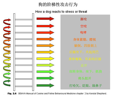 微信截图_20231020095509
