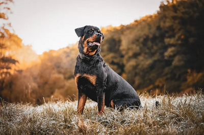 微信截图_20231020095522