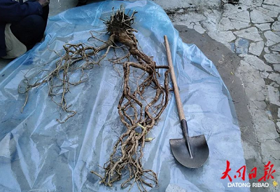 微信截图_20231020102000