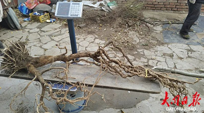 微信截图_20231020102009