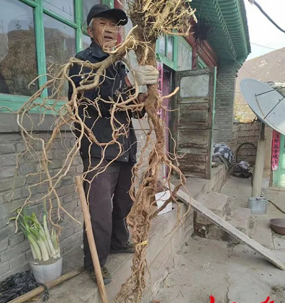 微信截图_20231020102021