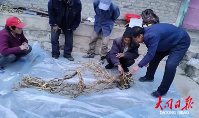 微信截图_20231020102031