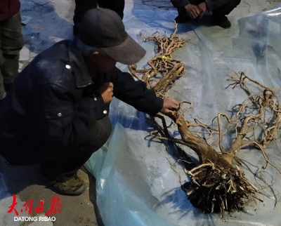 微信截图_20231020102039