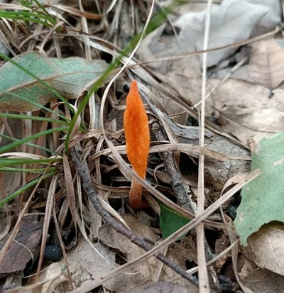 微信图片_20231030165453