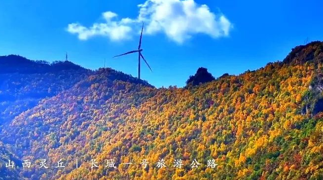 微信截图_20231030170908