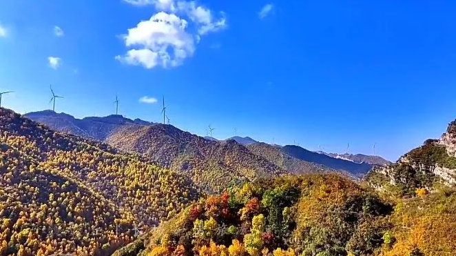 微信截图_20231030170916