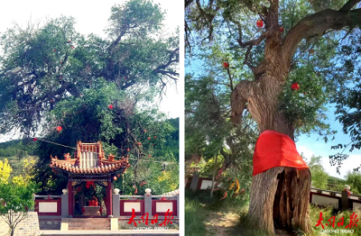 微信截图_20231030171208