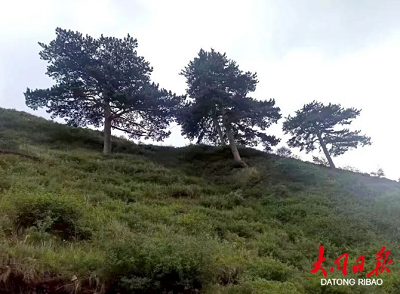 微信截图_20231030171218