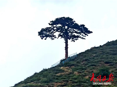 微信截图_20231030171227