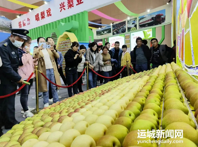 微信截图_20231031145836