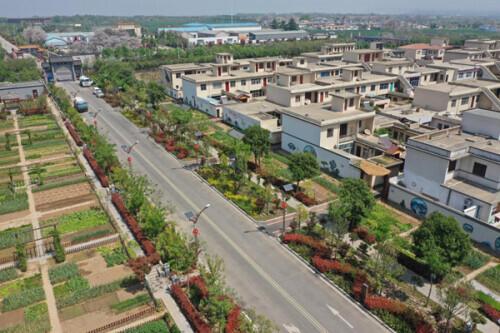 舞动“数智”技术画笔,绘就宜居宜业和美乡村新画卷