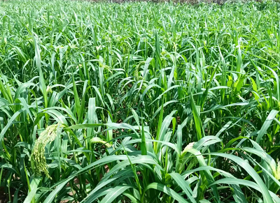 微信图片_20231107170320