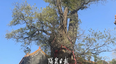 微信截图_20231107173838