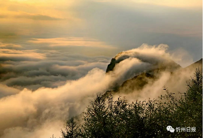 微信截图_20231117144306