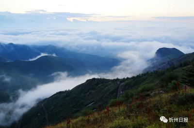 微信截图_20231117144320