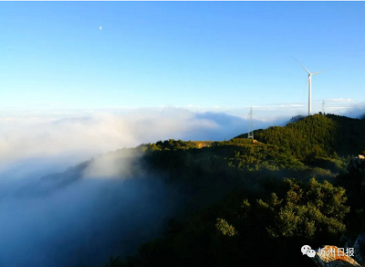 微信截图_20231117144327