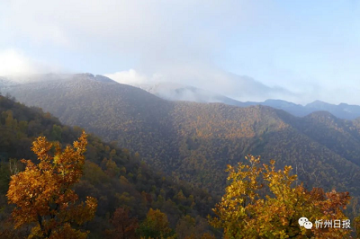 微信截图_20231117144340