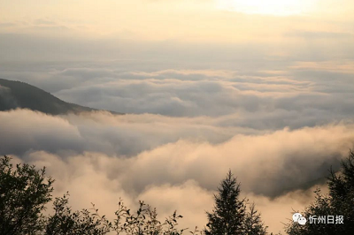 微信截图_20231117144348