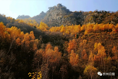 微信截图_20231117144400