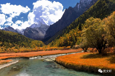 微信截图_20231121152742