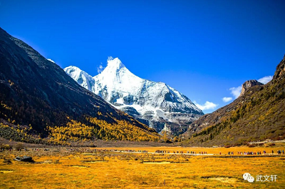 微信截图_20231121152753