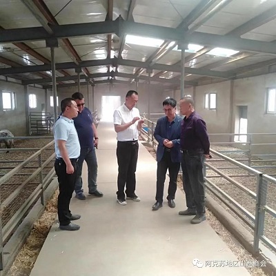 微信图片_20231121162538