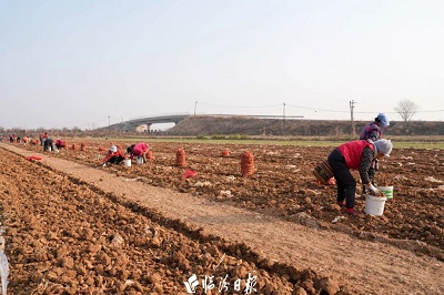 微信图片_20231123160028