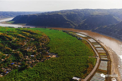 微信截图_20231127120856