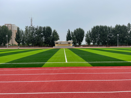 微信截图_20231129162133