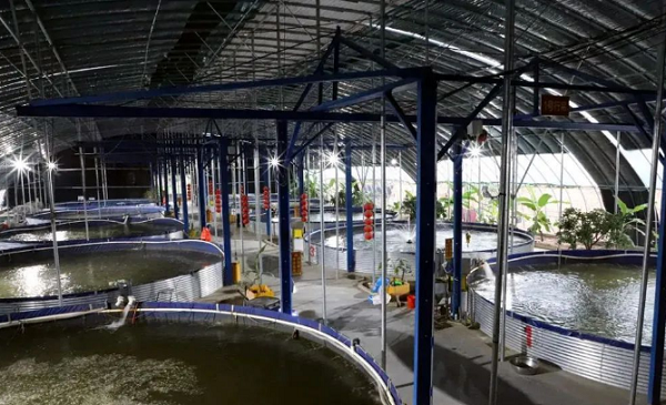 微信截图_20231207170909