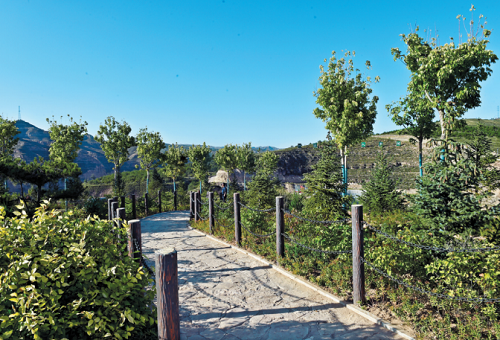 微信截图_20231213142912